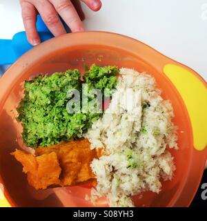 Overhead shot of bowl of homemade purées in weaning bowl (pea and broccoli, sweet potato and fish) with baby's hand approaching bowl Stock Photo