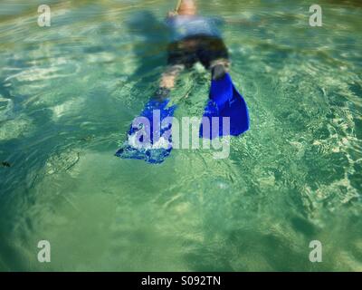 Snorkeling in Belize, South Water Caye Stock Photo