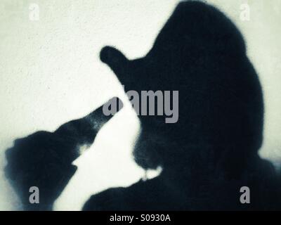 Shadow of a female wearing a cowboy hat drinking from a beer bottle Stock Photo