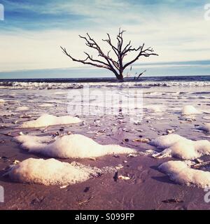 A lone dead tree  stands in the surf at Botany Bay on Edisto Island, SC. Stock Photo