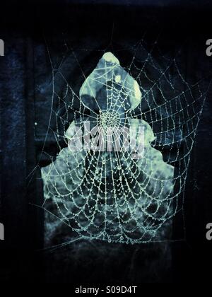 Spiderweb in the graveyard Stock Photo