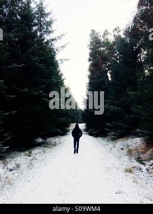 A man walks through a forest on a solitary hike with snow on the ground in winter. Stock Photo