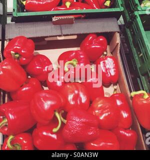 Red peppers in supermarket Stock Photo