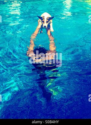 Water play; teenage boy playing in the swimming pool with his dog. Stock Photo