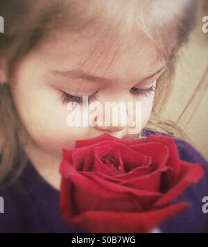 Little Girl Admiring Rose Stock Photo