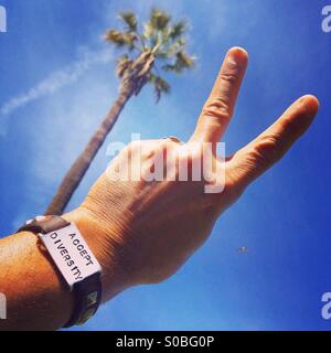 'Accept Diversity' leather and steel bracelet on man making two finger peace sign at sky and palm tree Stock Photo