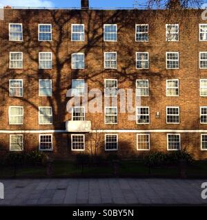 Shadow of a tree in a block of council flats in Stamford Hill, Hackney, London