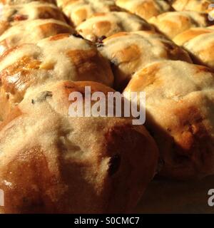 Home made hot cross buns fresh from the oven Stock Photo