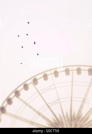 Birds flying past big wheel in Liverpool in mist Stock Photo