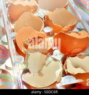 Eggshells Stock Photo