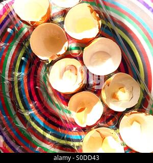 Eggshells Stock Photo