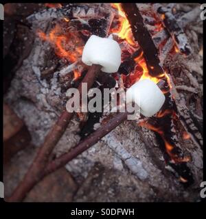Marshmallows toasting over a camp fire Stock Photo