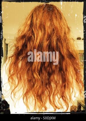 Young man with long red hair seen from behind. Stock Photo