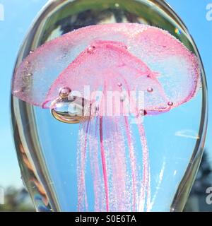 glass jellyfish in paperweight Stock Photo