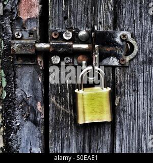 New brass padlock and bolt on an old black weathered wooden door Stock Photo