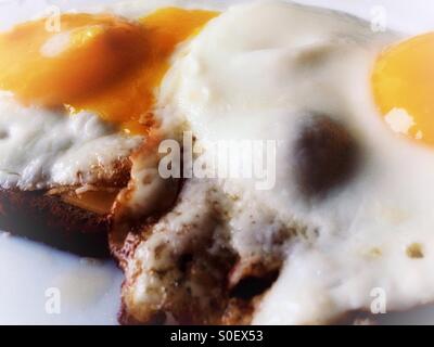 Two Fried Eggs on rye bread with Gouda Cheese Stock Photo