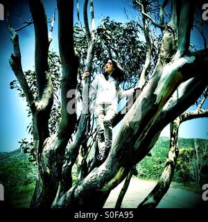 Young woman high up in treetop. McNee Ranch, California, USA. Stock Photo
