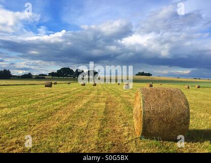 Harvest time - summer landscape after heavy storm Stock Photo - Alamy