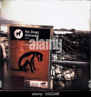 No Dogs Allowed on Beach sign at Lacanau Ocean on the Atlantic south