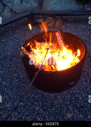 Toasting marshmallows on a stick Stock Photo