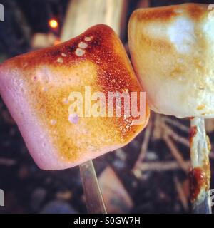 Two toasted marshmallows Stock Photo