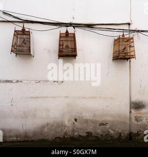 Asian birds hang from three bamboo cages in a side street, Bangkok, Thailand. Stock Photo