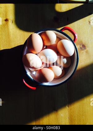 Fresh eggs presented in a bowl collected from hens on a farm Stock Photo