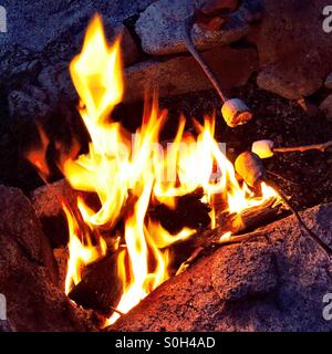 Roasting marshmallows over an open campfire. Stock Photo