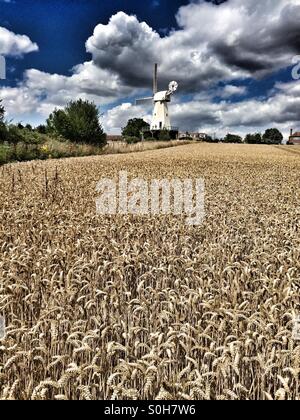 Harvest time at Woodchurch Windmill, Kent, UK Stock Photo