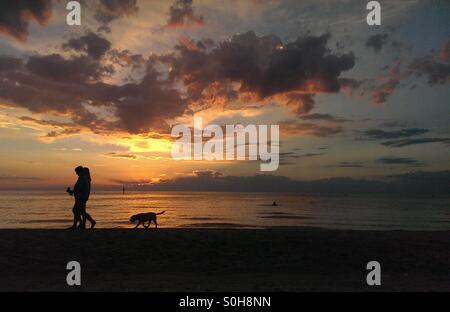 Walking the dog on a beautiful beach with a gorgeous sunset Stock Photo
