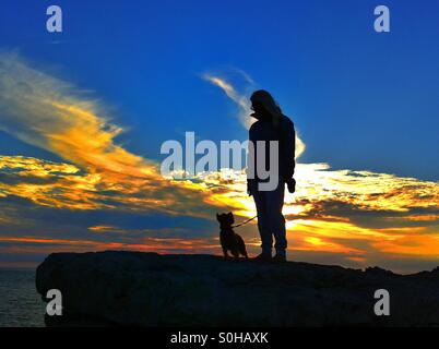 Sunset dog walks Stock Photo