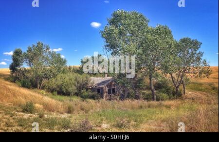 Old abandoned homestead out in the southern Alberta prairies, on a hot, sunny August day. Alberta, Canada. Stock Photo