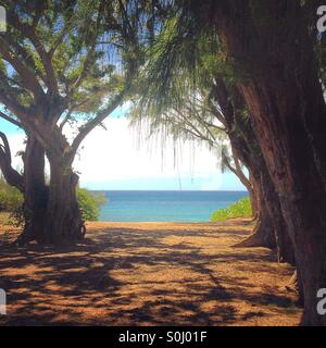 Path to Ehukai Beach, aka Banzai Pipeline, North Shore of Oahu, Hawaii, USA Stock Photo