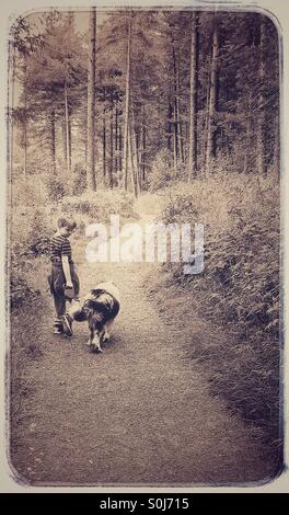 Boy and dog on a woodland walk