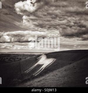 Westbury white horse UK Stock Photo