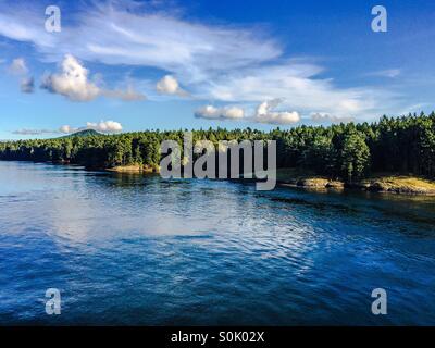 Shore of a small island in the Salish Sea as seen from a boat, on a sunny late summer day. Stock Photo