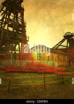 Weeping window poppy display, at Woodhorn Colliery in Ashington in Northumberland, to commemorate the soldiers of World War 1 Stock Photo