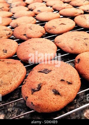 Fresh pumpkin, chocolate chunk cookies on a cooling rack Stock Photo