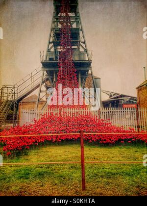 Weeping window poppy display, at Woodhorn Colliery in Ashington in Northumberland, to commemorate the soldiers of World War 1 Stock Photo