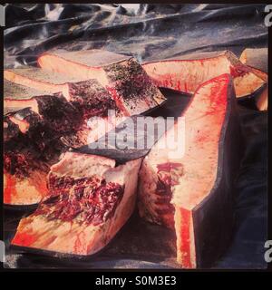 Whale harvest in barrow Alaska Stock Photo