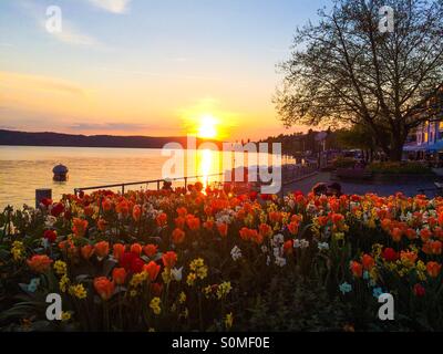 Lake Bodensee on Evening - Germany, Ueberlingen Stock Photo