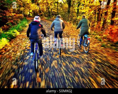Autumn bike ride in the Forest of Dean uk Stock Photo