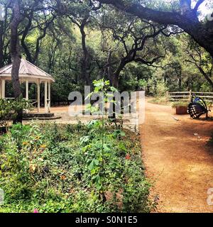 Beautiful day at the botanical gardens Stock Photo