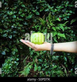 Green apple on the hand palm of a girl with the living wall background Stock Photo