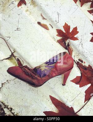 Woman's shoe discarded on corrugated metal outdoors in late autumn surrounded by maple leaves Stock Photo