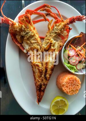 Cape rock lobster with rice and salad. Stock Photo