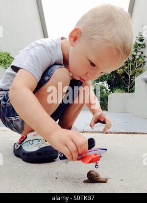 Little boy playing with toys Stock Photo