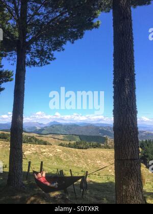 Man resting in a portable hammock after hike above Nelson, South Island , New Zealand on the Cable Bay Track Stock Photo