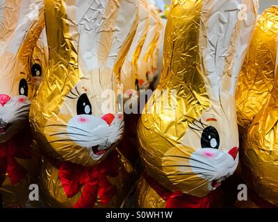 Chocolate bunnies Stock Photo