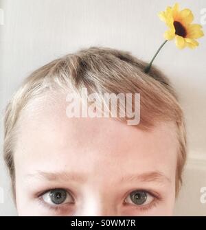 Spring is in the hair. Little boy with a flower in the hair. Think green. Eye. Blue eyes. Stock Photo